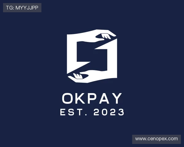 认识OKPAY钱包